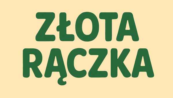 Usługa "Złota Rączka" - nowe zadanie projektu BCUŚII 